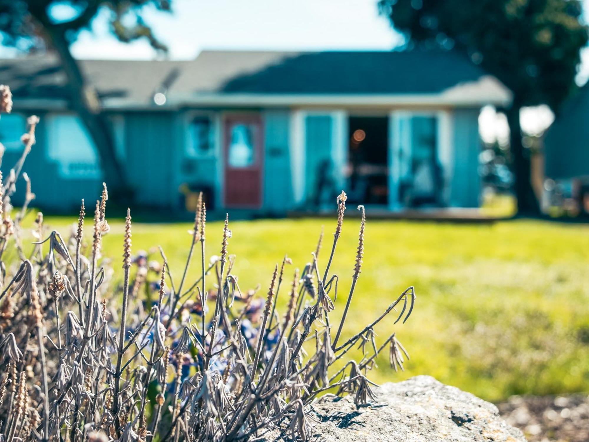 Dungeness Bay Cottages Sequim Dış mekan fotoğraf
